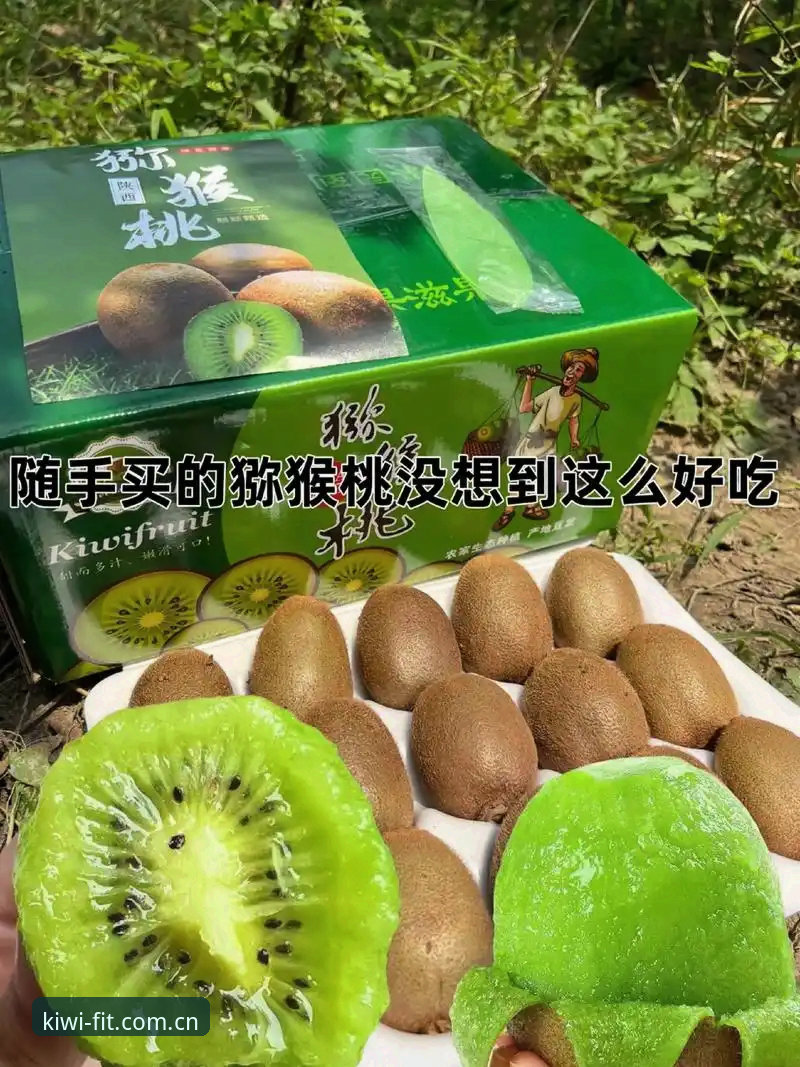 奇异果体育移动端教程：新手必备的2025新版安装与使用技巧