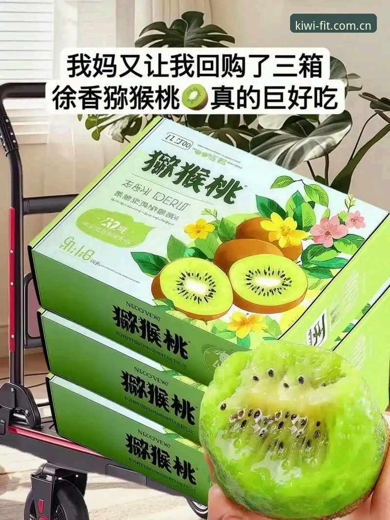 奇异果体育平台安全性深度剖析：2025新版官方下载路径全面解析